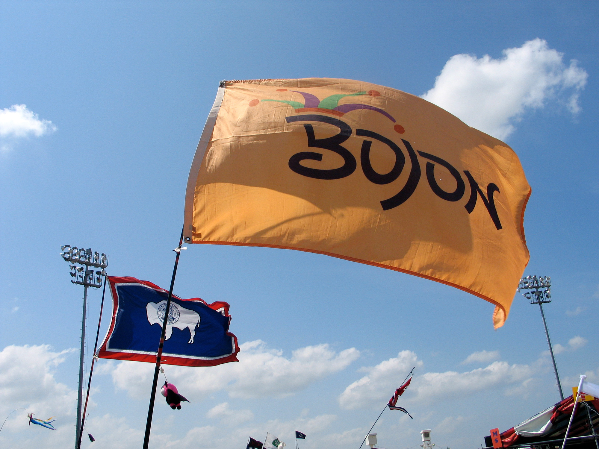 Image of — Bojon Flag (Gold)